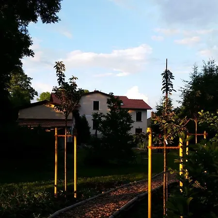 Mein.lychen Lychen